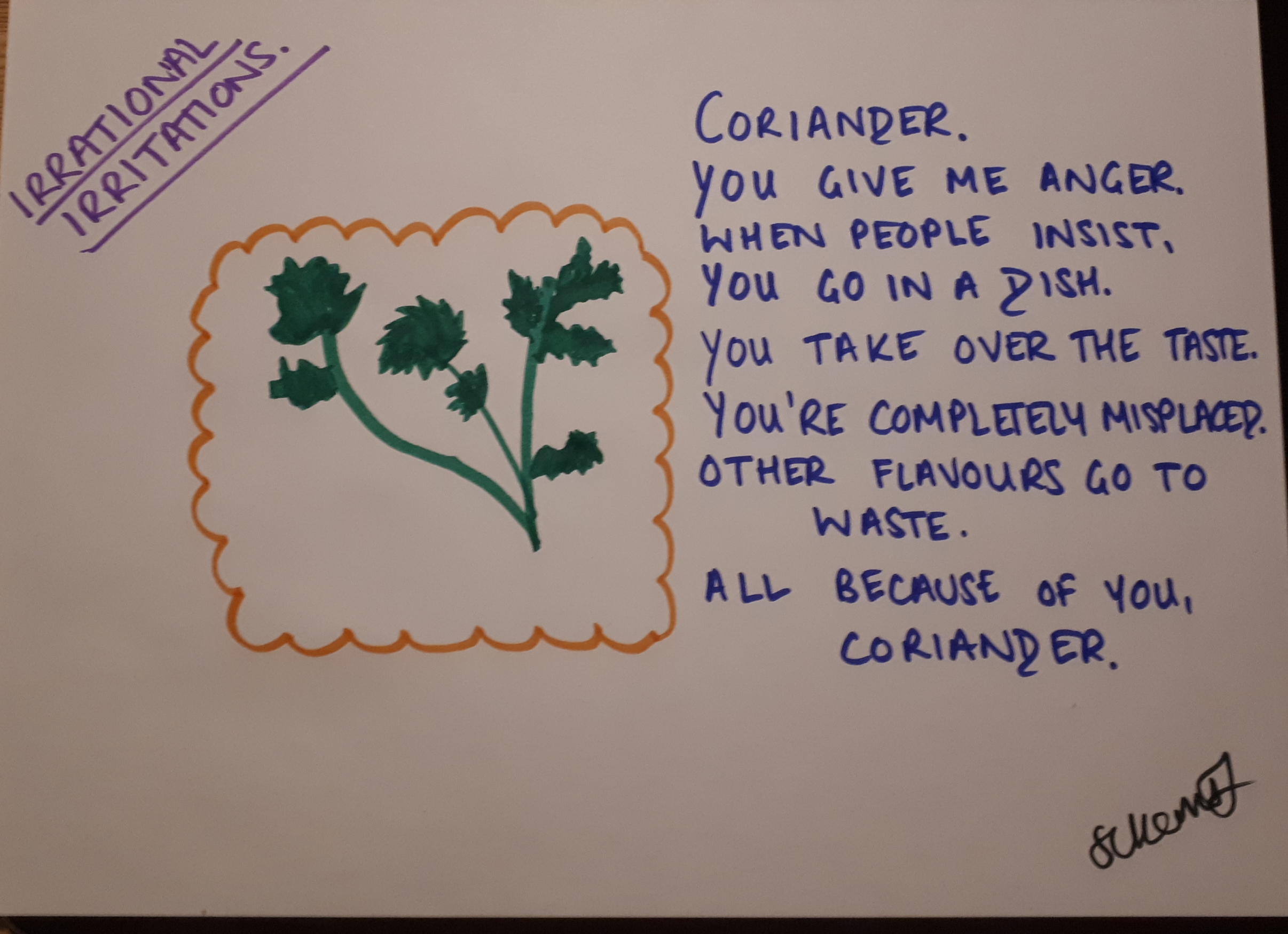 coriander